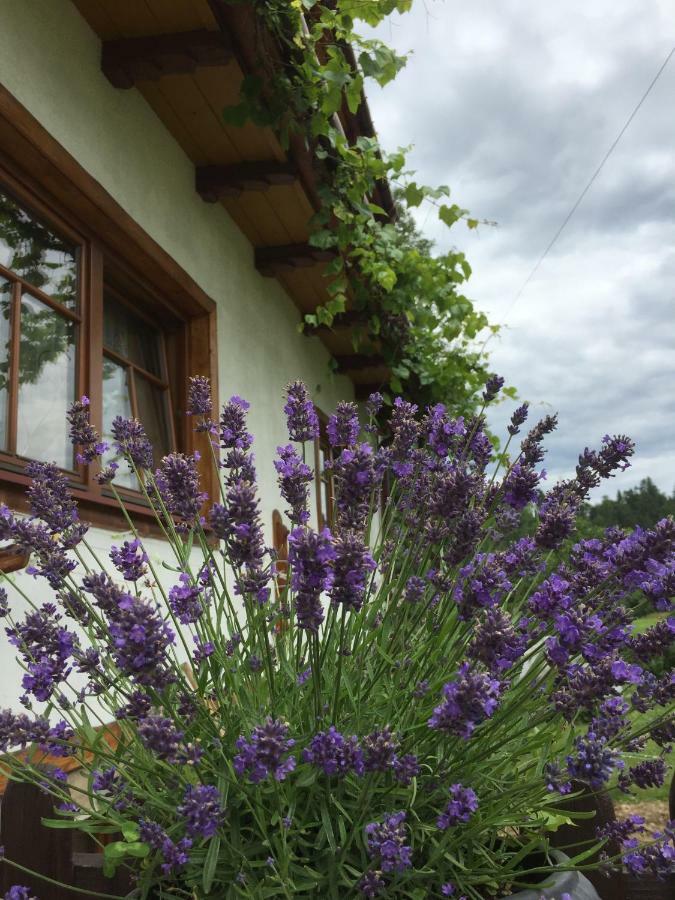 Bed and Breakfast Dom Rodziny Sojkow à Białka Tatrzańska Extérieur photo