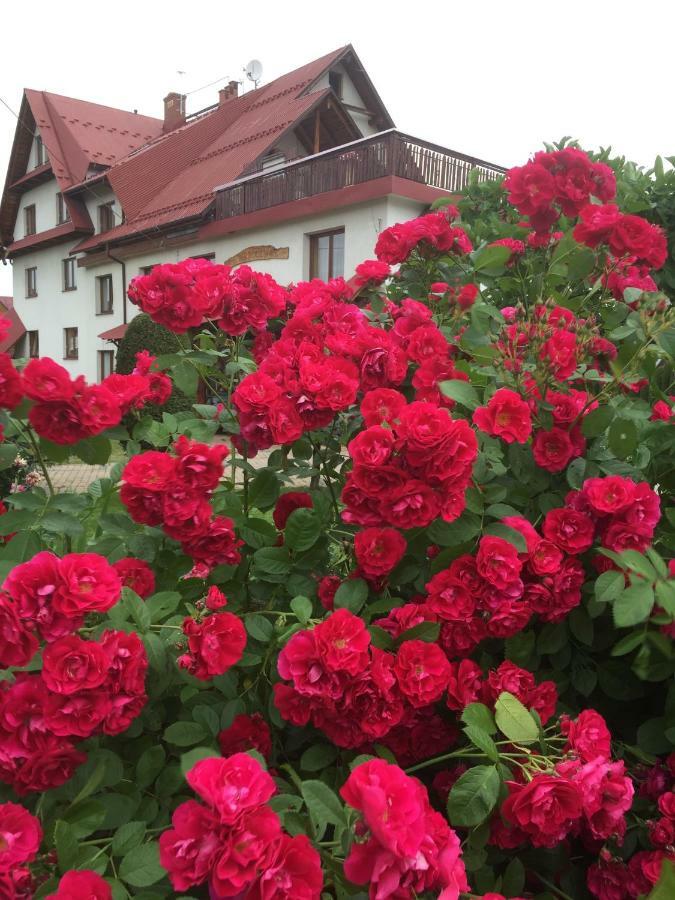 Bed and Breakfast Dom Rodziny Sojkow à Białka Tatrzańska Extérieur photo