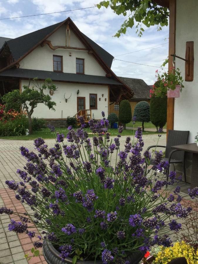 Bed and Breakfast Dom Rodziny Sojkow à Białka Tatrzańska Extérieur photo